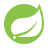 SpringbootLogo